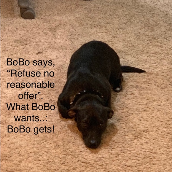 Meet your Posher, CoutureNCoffee - Picture 1 of 2